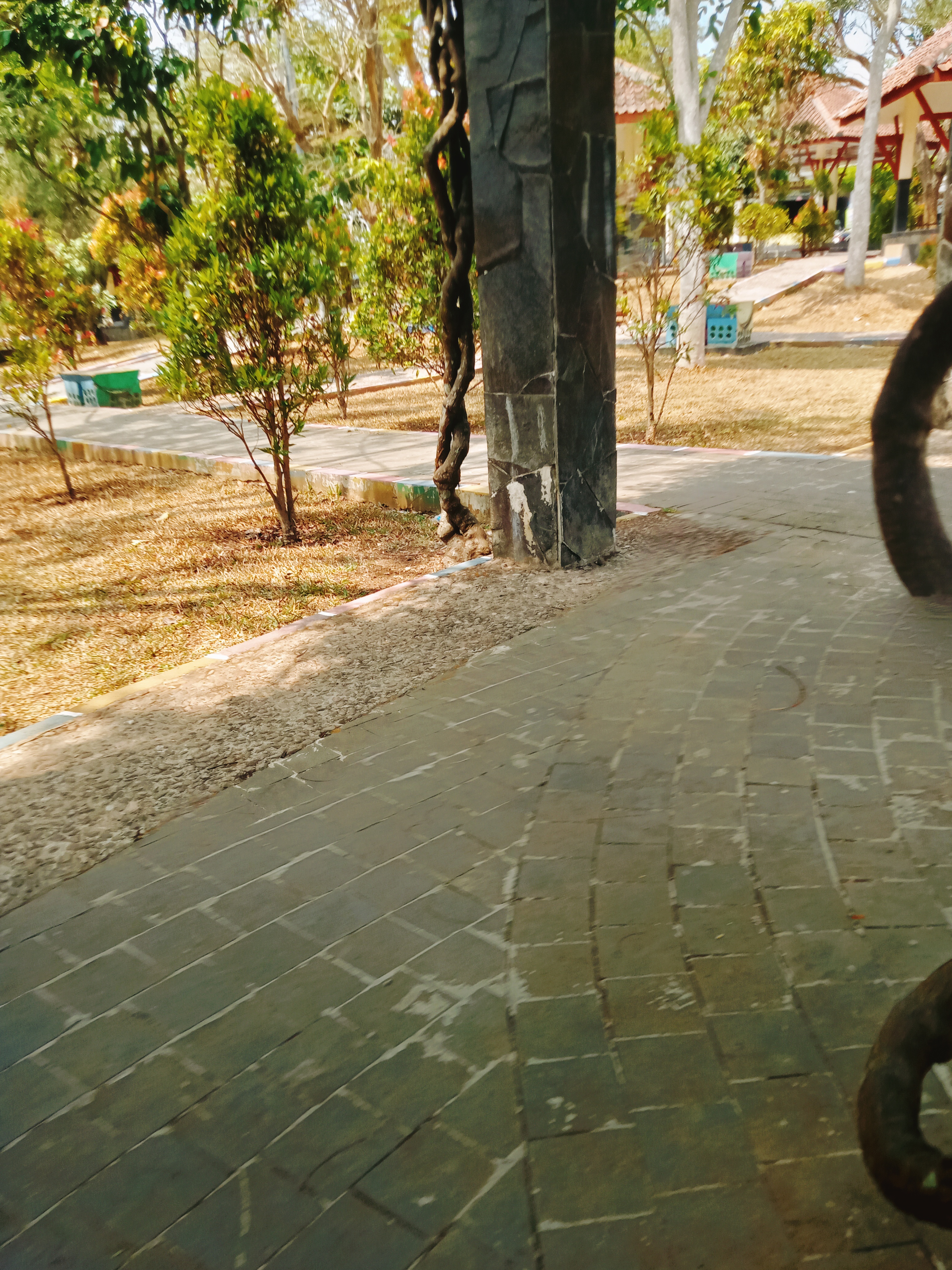 IMG20230914102228.jpg