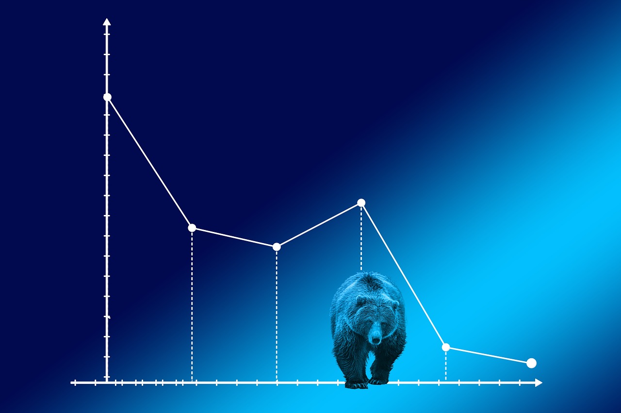 bear-market-4159033_1280.jpg