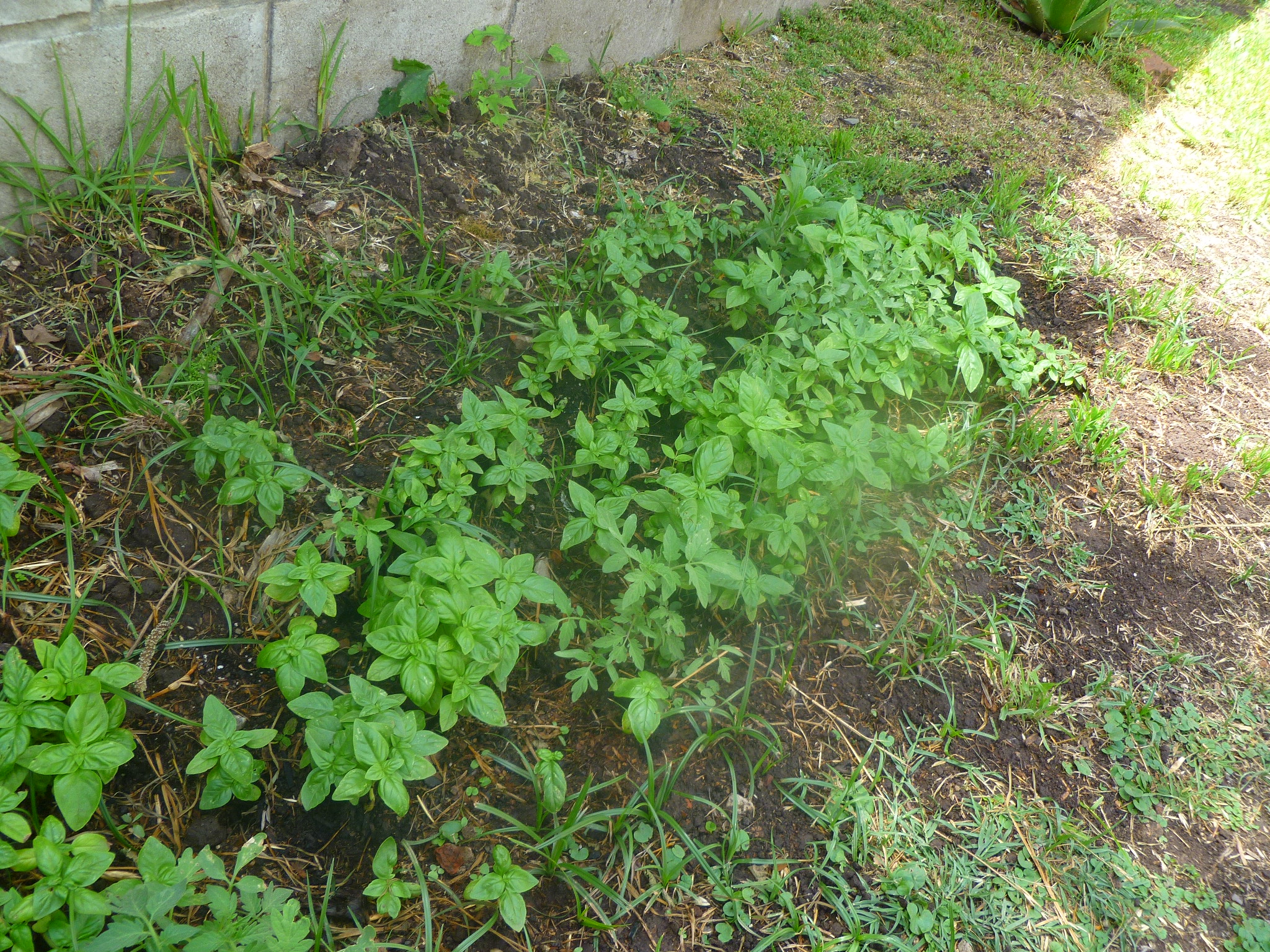 P1080388.JPG