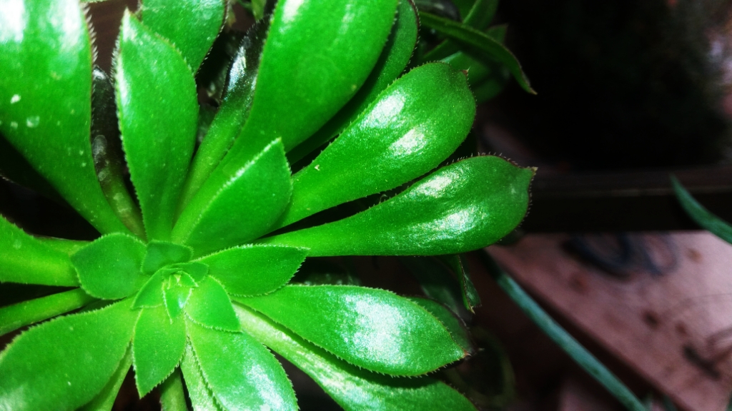 CYMERA_20201120_124714.jpg