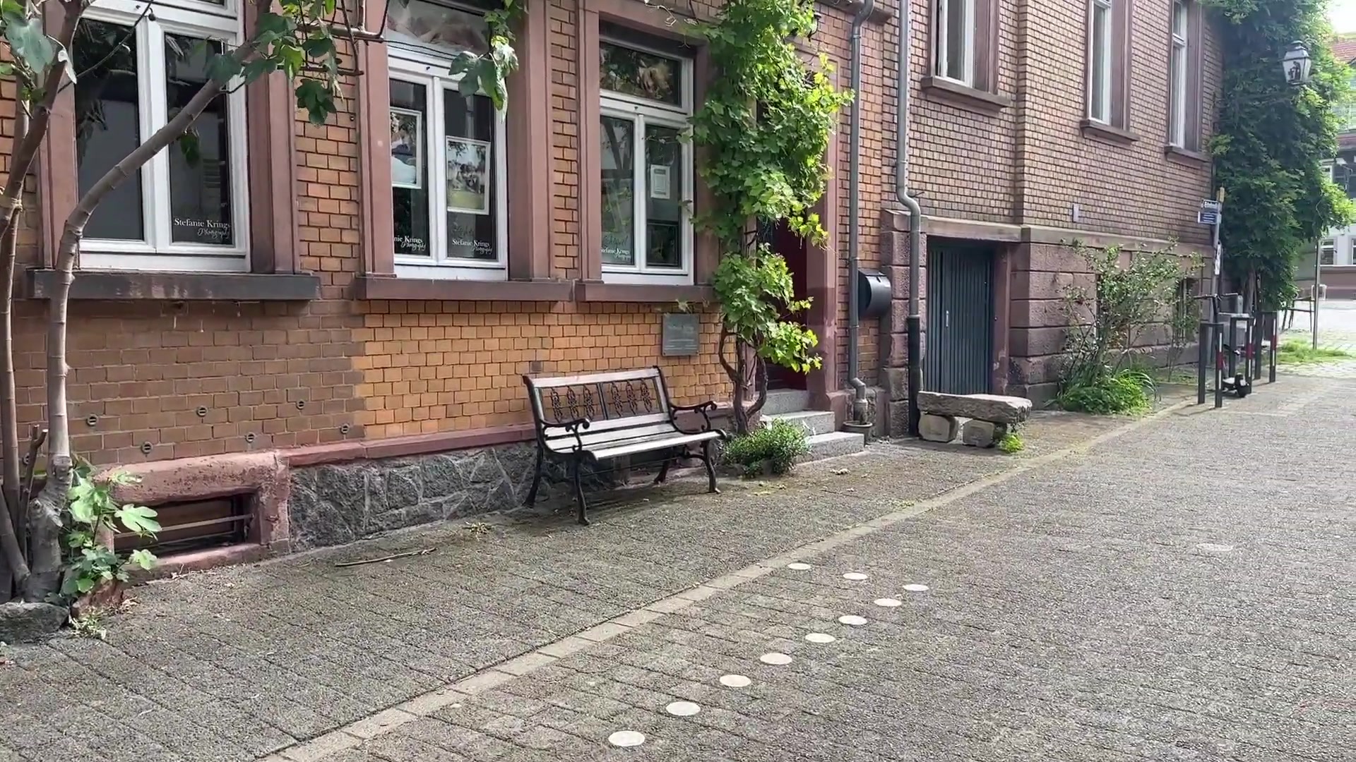 374.jpg