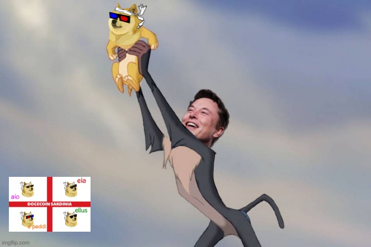 dogecoin-sardinia-elon.jpg