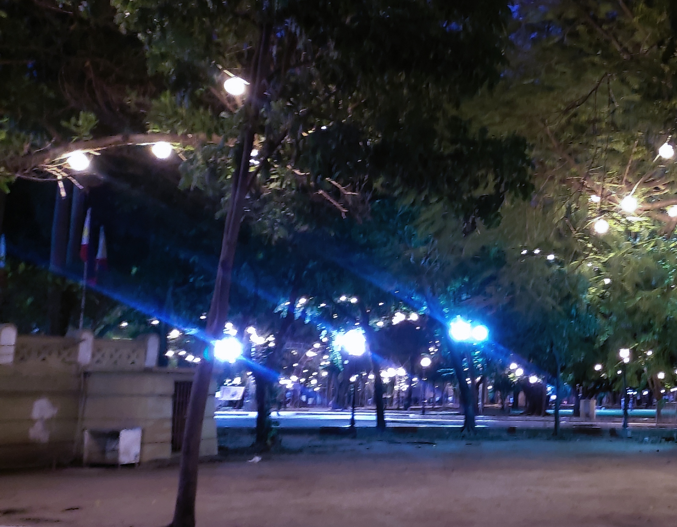 IMG_20250702_124539.jpg
