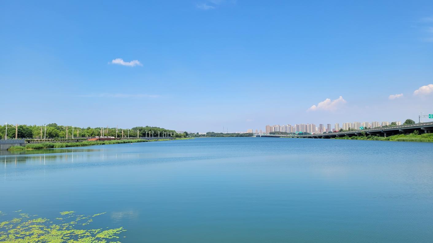 20250801_133912.jpg