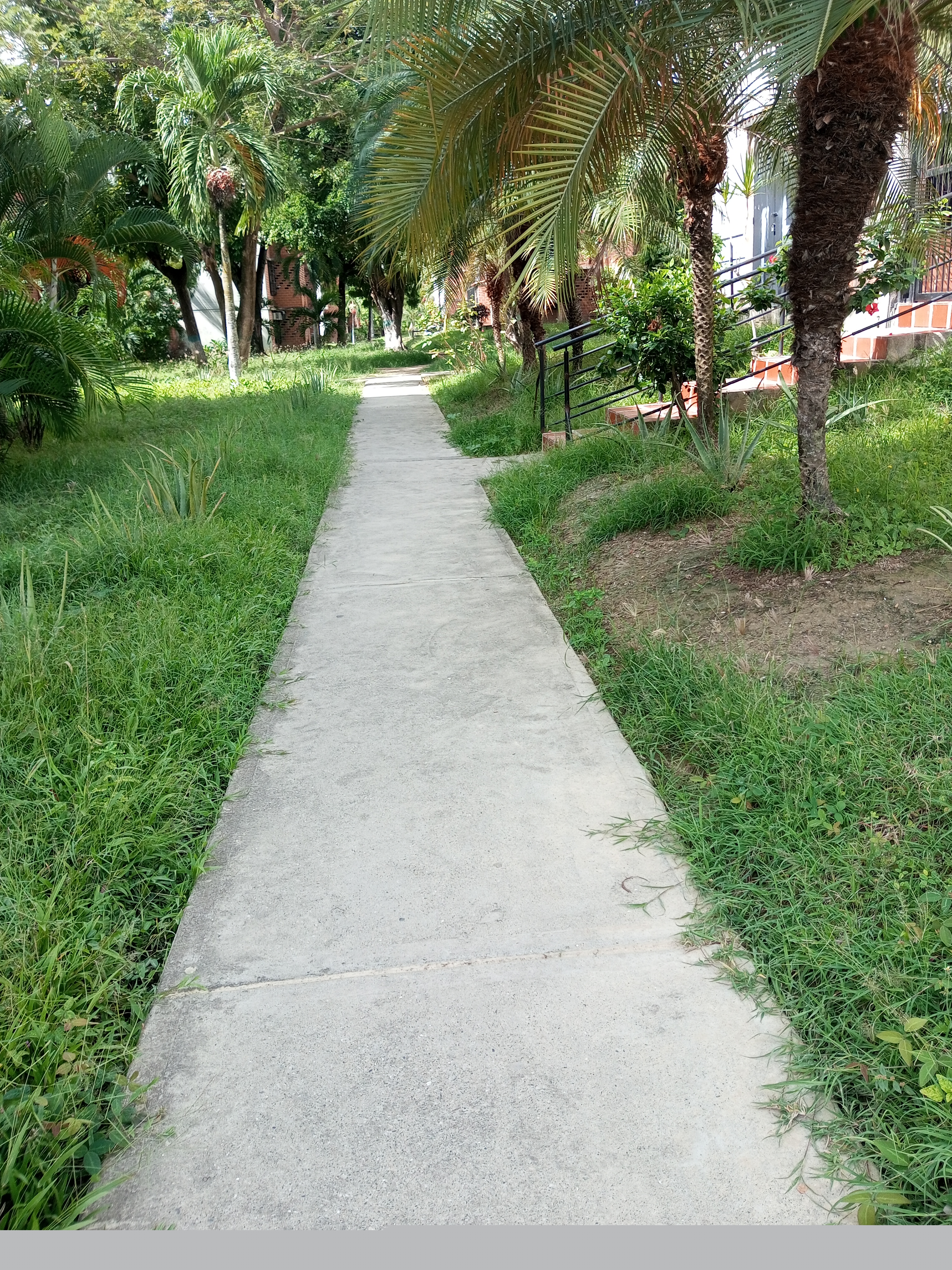 IMG_20250713_095108_997.jpg
