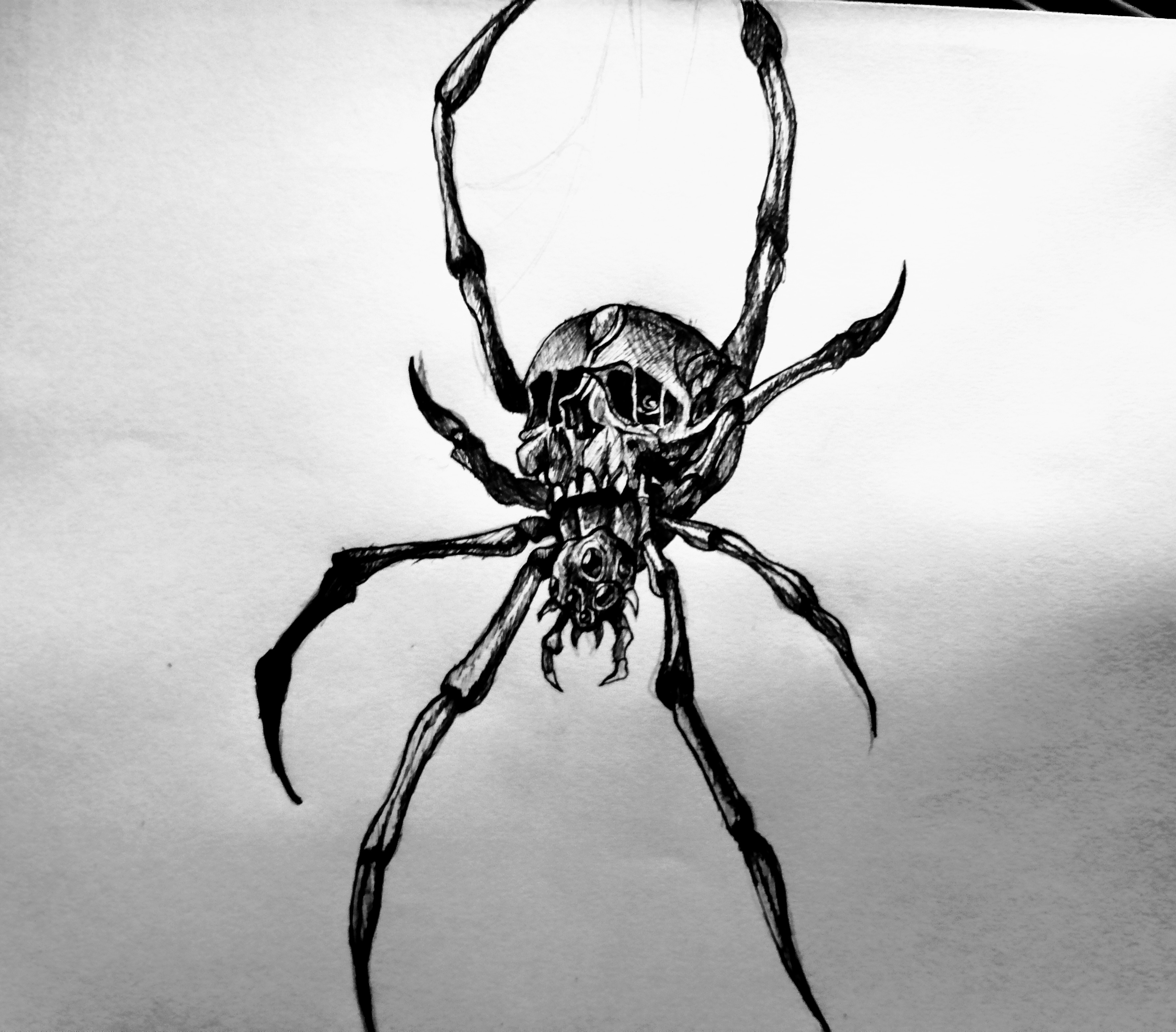 Ink drawing of a Scary Spider (ENG/ESP) — Hive