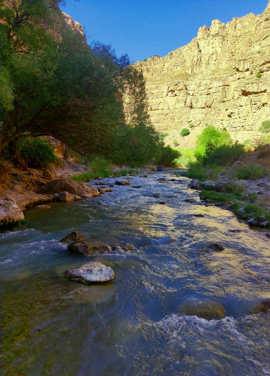IMG_20250601_144016_054.jpg