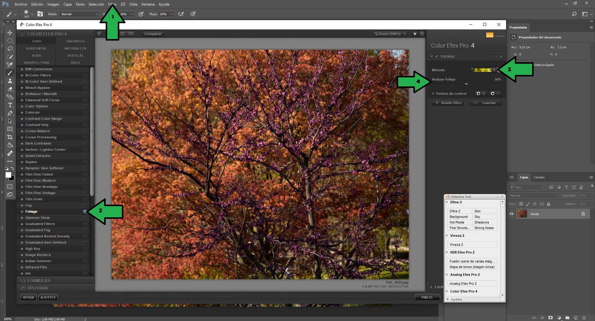 Color Efex Pro 4.jpg
