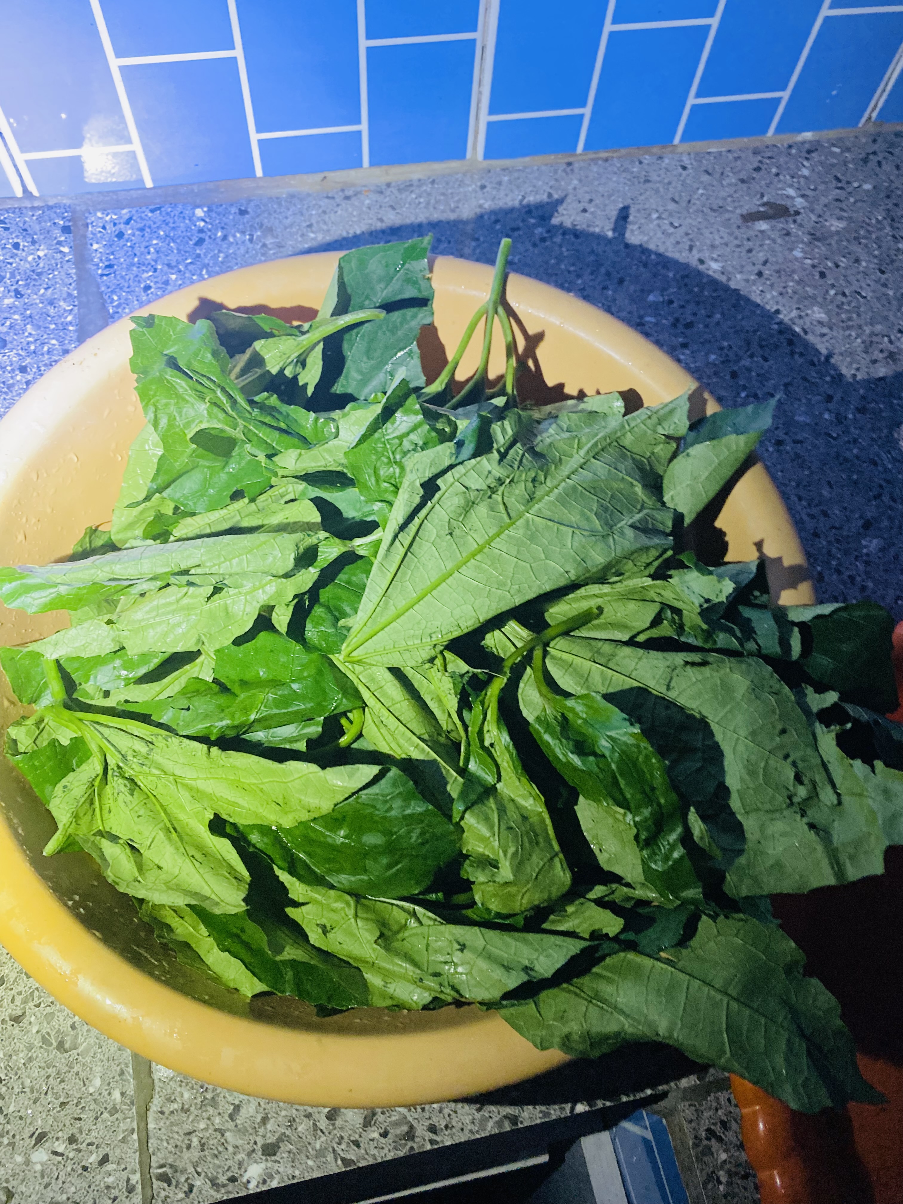 IMG_3562.jpeg