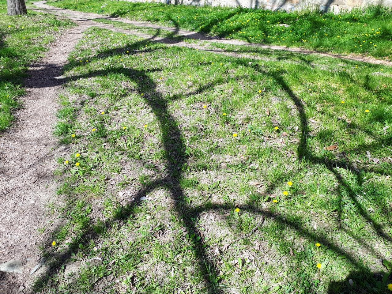 20220415_095451.jpg