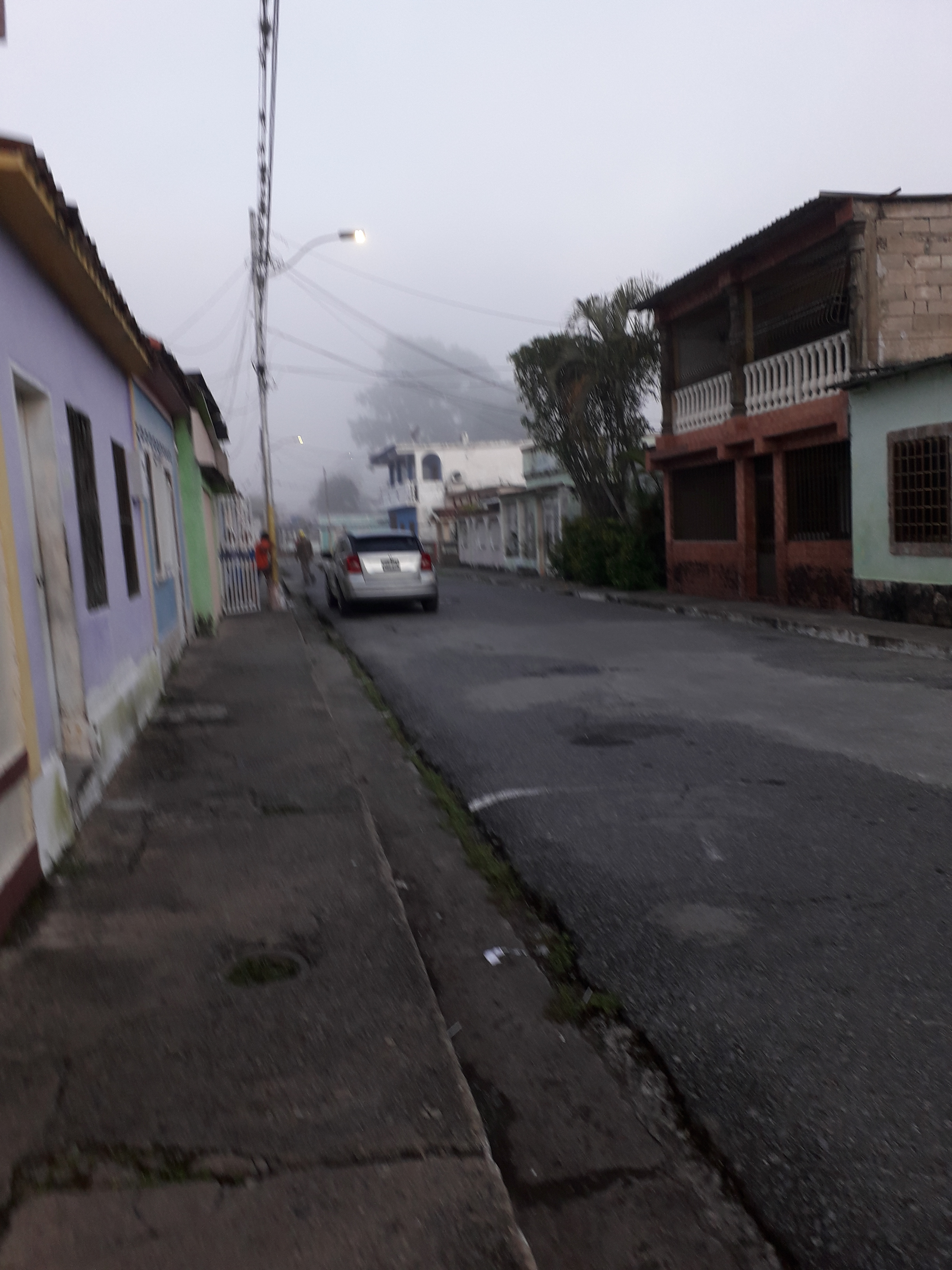 20221020_062503.jpg