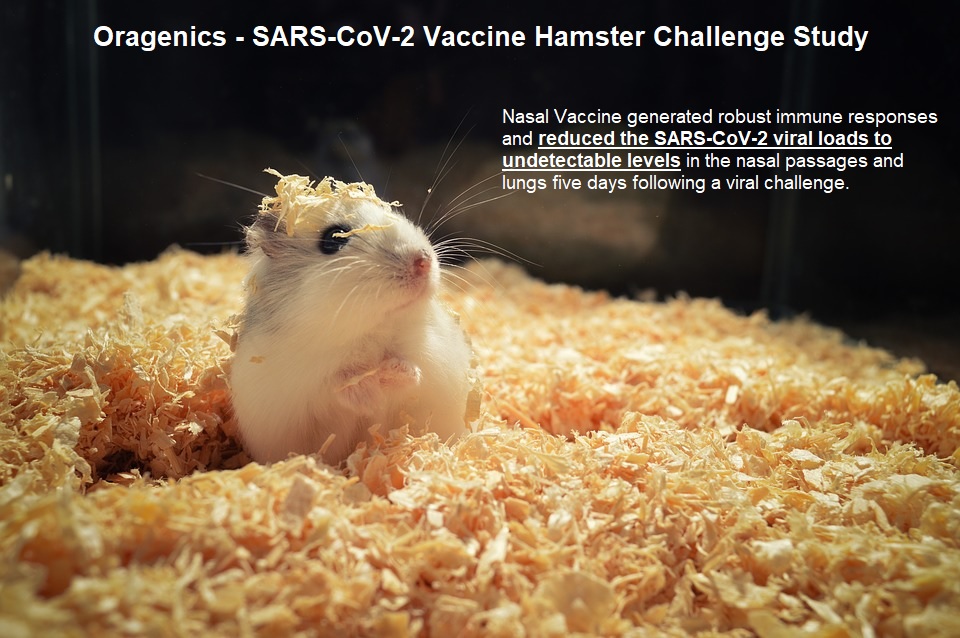 Oragenics Hamster Vaccine Challenge Study Results.jpg