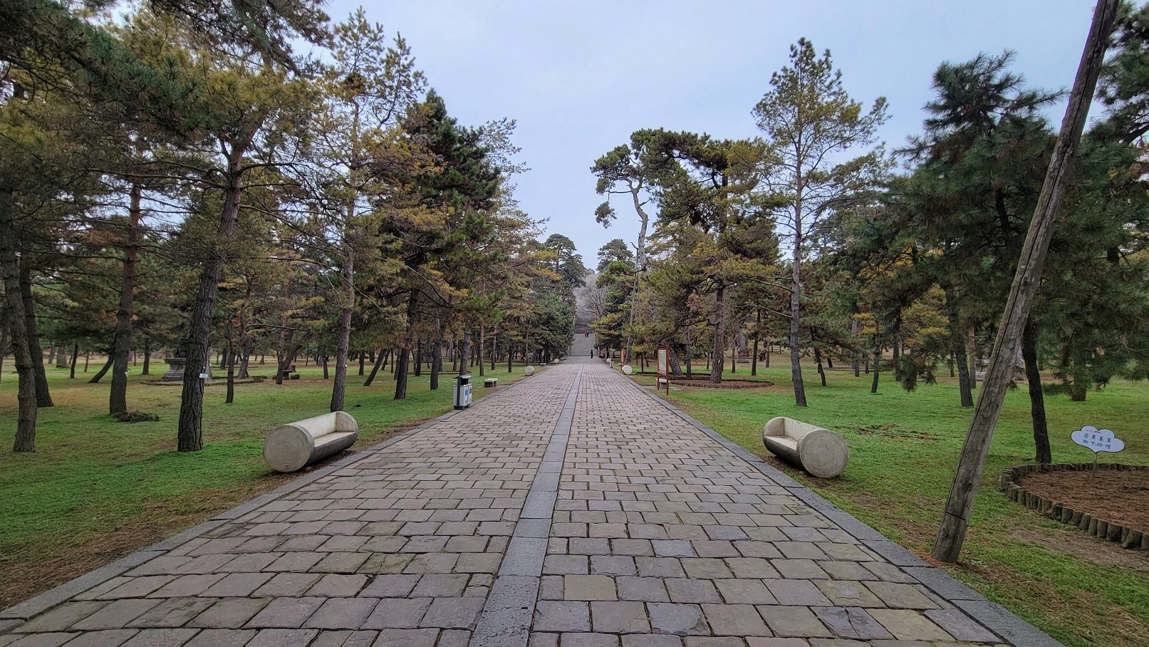 20221119_122311.jpg