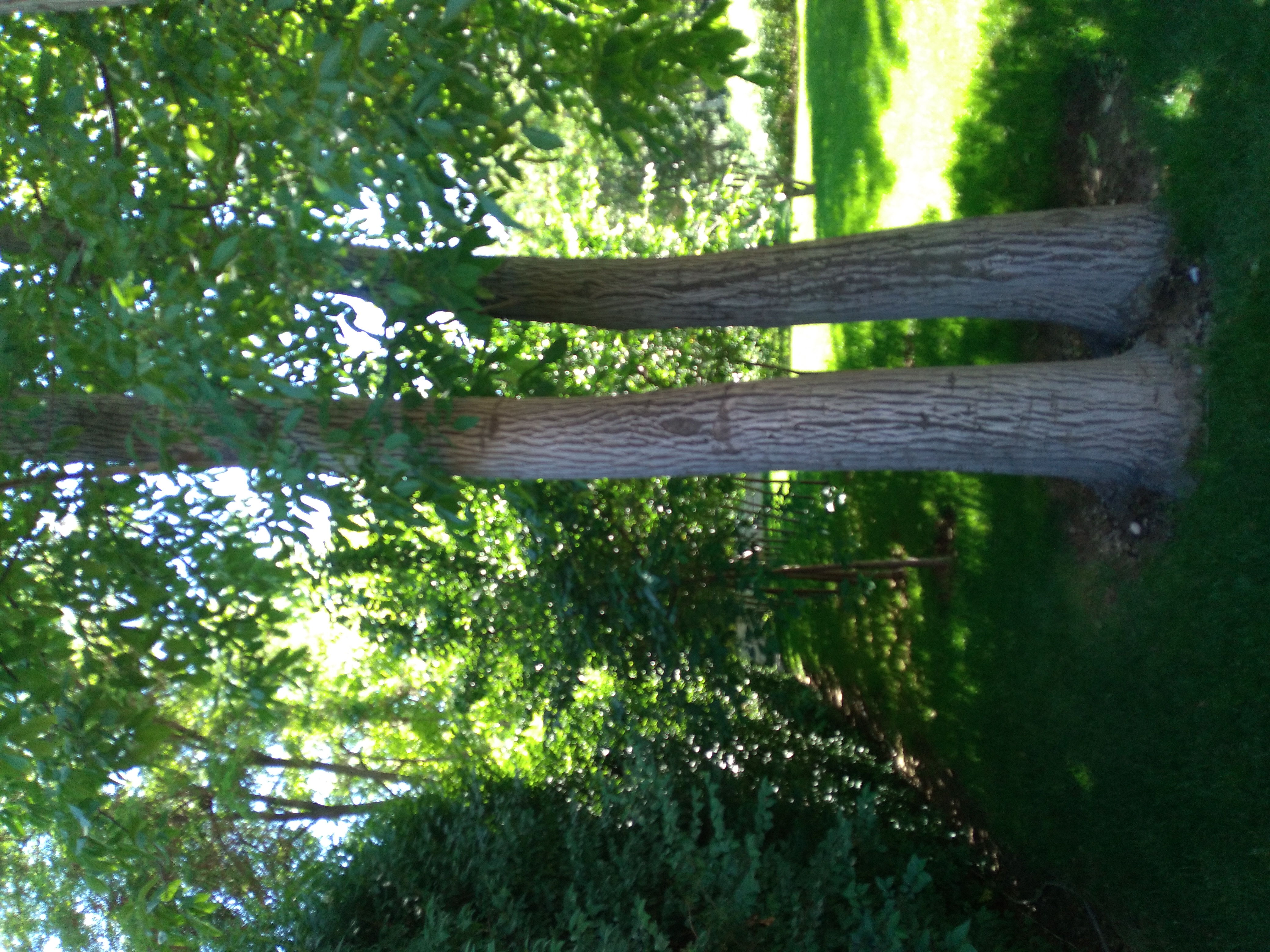 20250508_140418.jpg