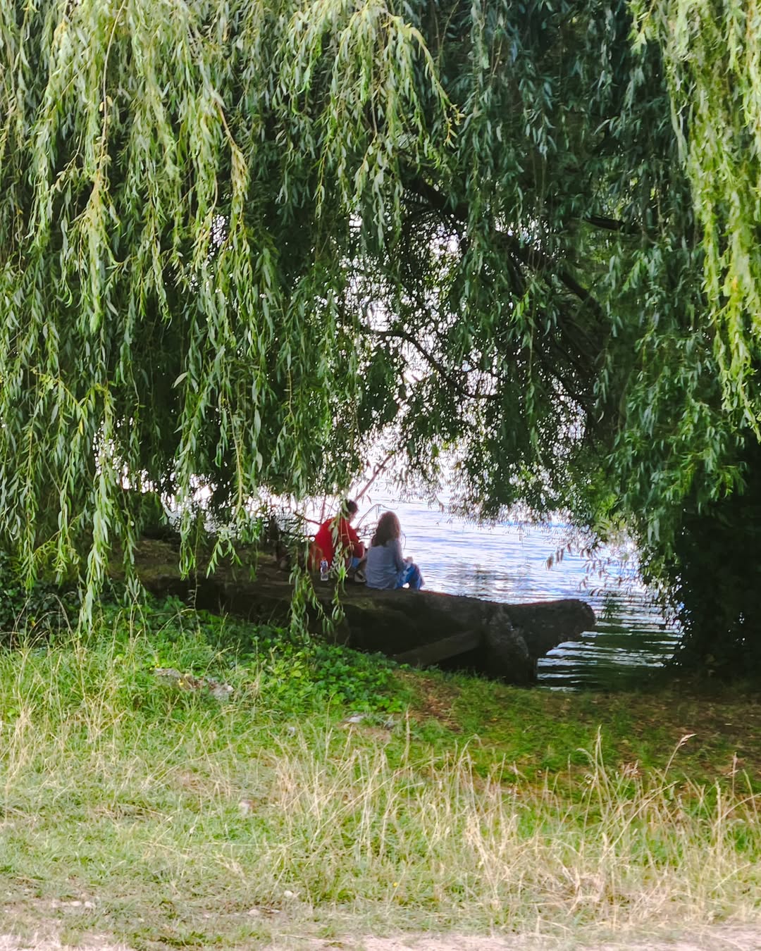 Creo que cada rincón de esta ciudad es fotogenico, eso me da tantas ideas...   ....#rinconcitosdevaldivia #rancgo #valdivia.heic (5).jpg