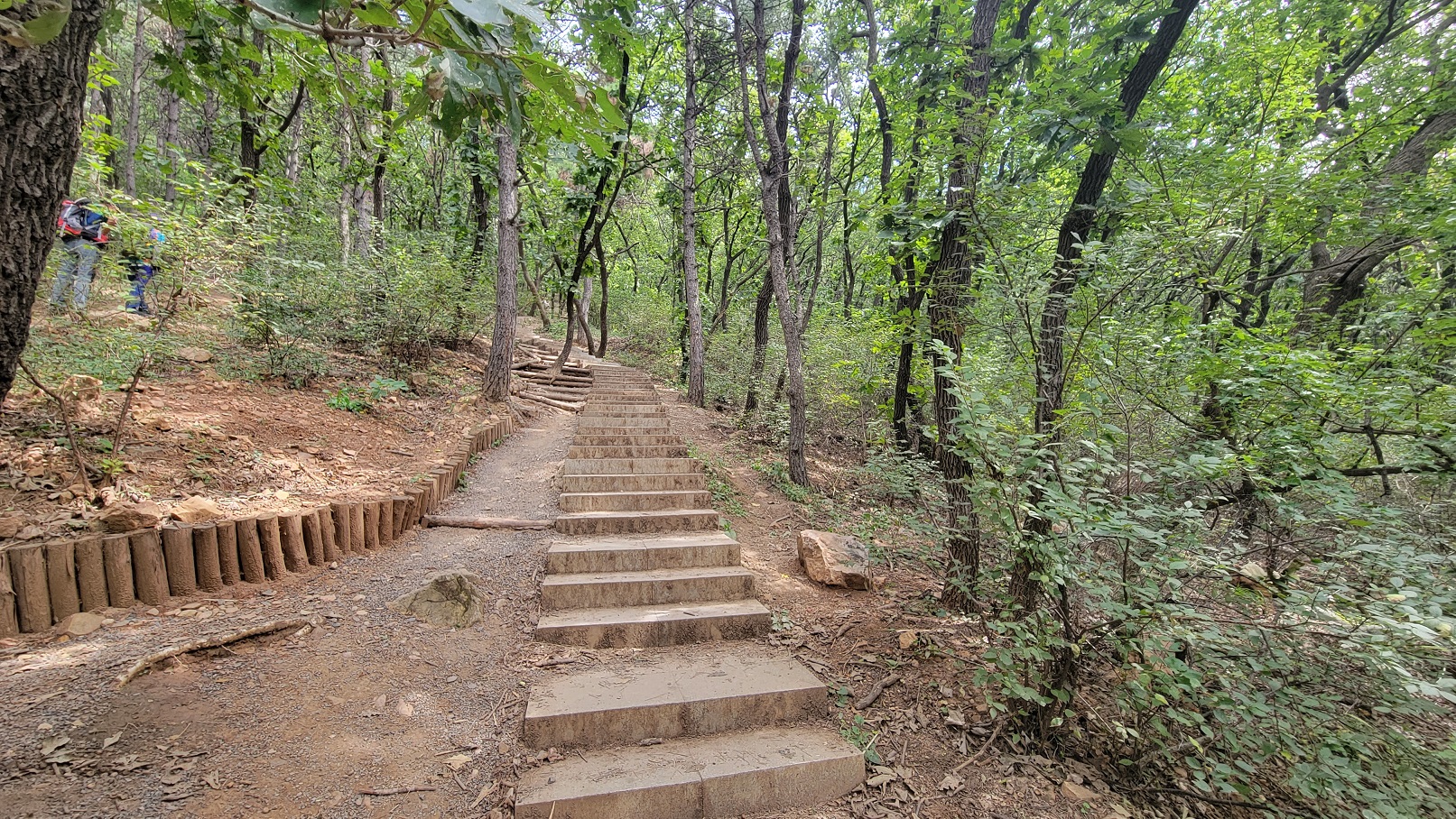 20220910_114156.jpg