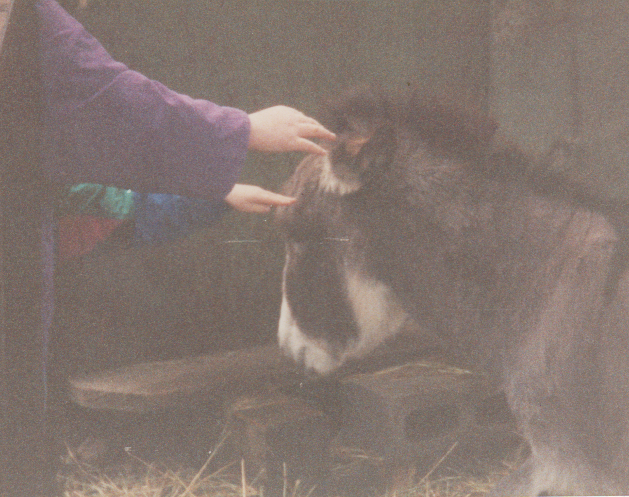 1992-12-26 - Saturday - Wildlife Safari Trip, Marilyn, Crystal-03.png