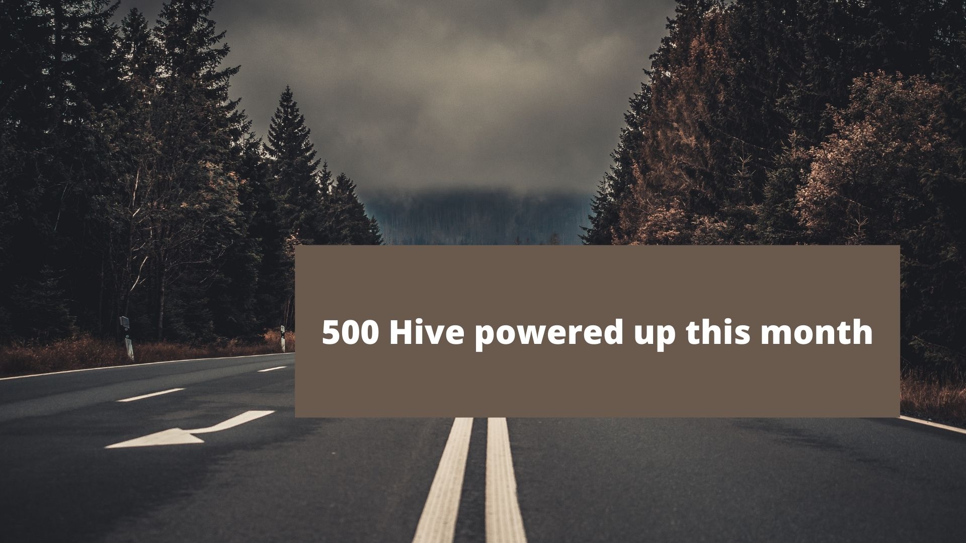 500 hive.jpg