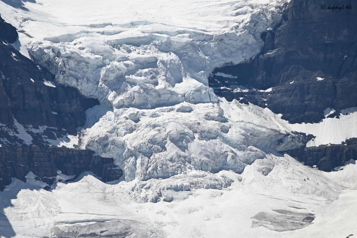 wilcox pass_dome glacier.jpg