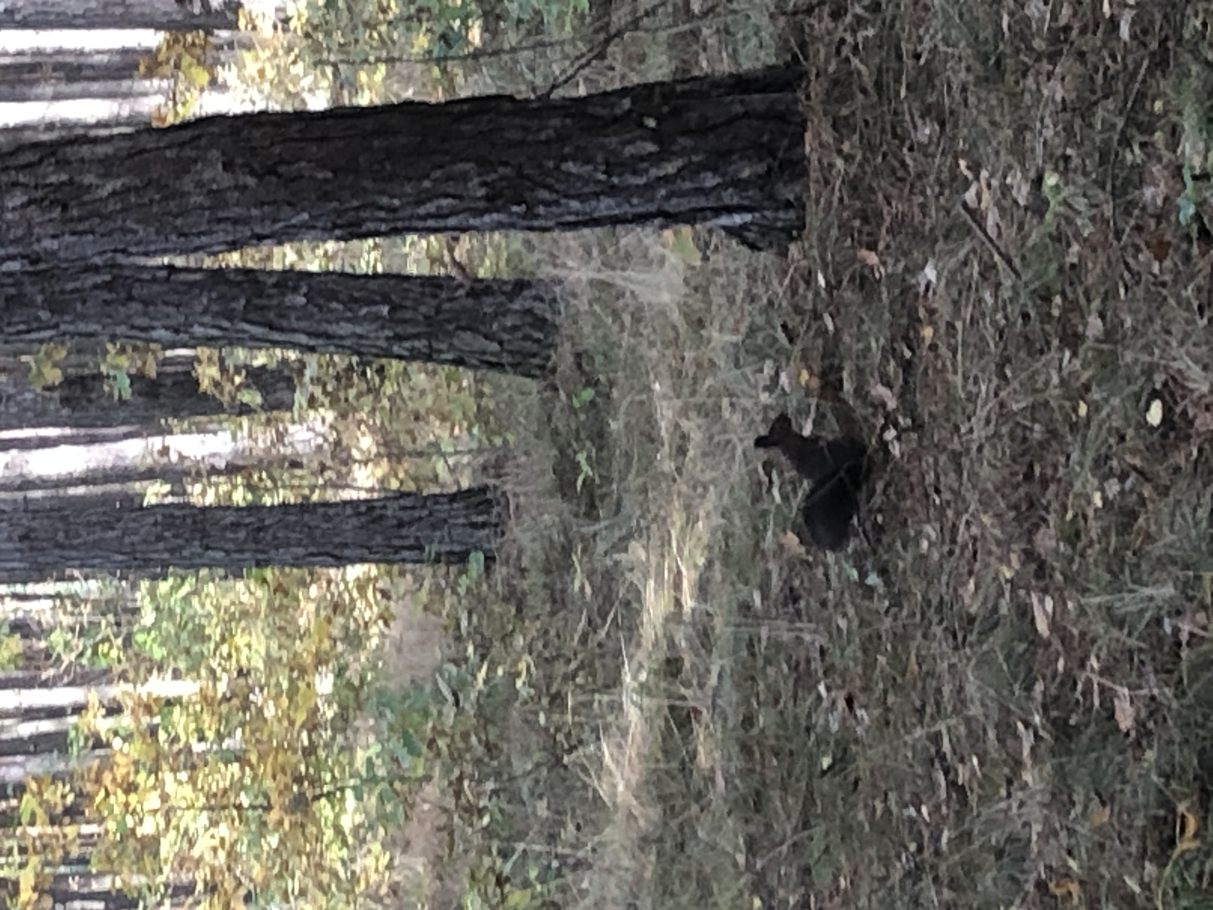 IMG_3402.jpeg