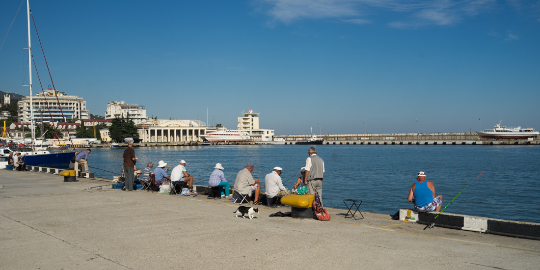 DSC02548.jpg