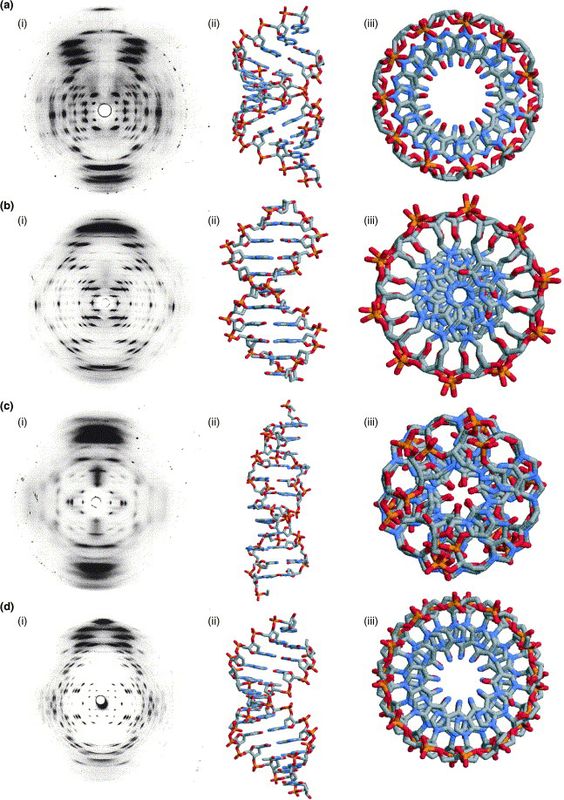 dna cymatics.jpg