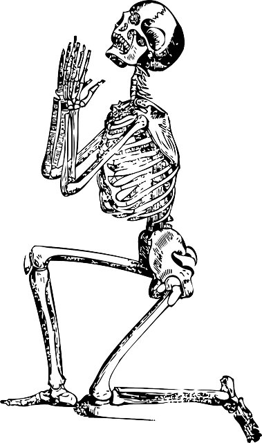 skeleton-33847_640.webp