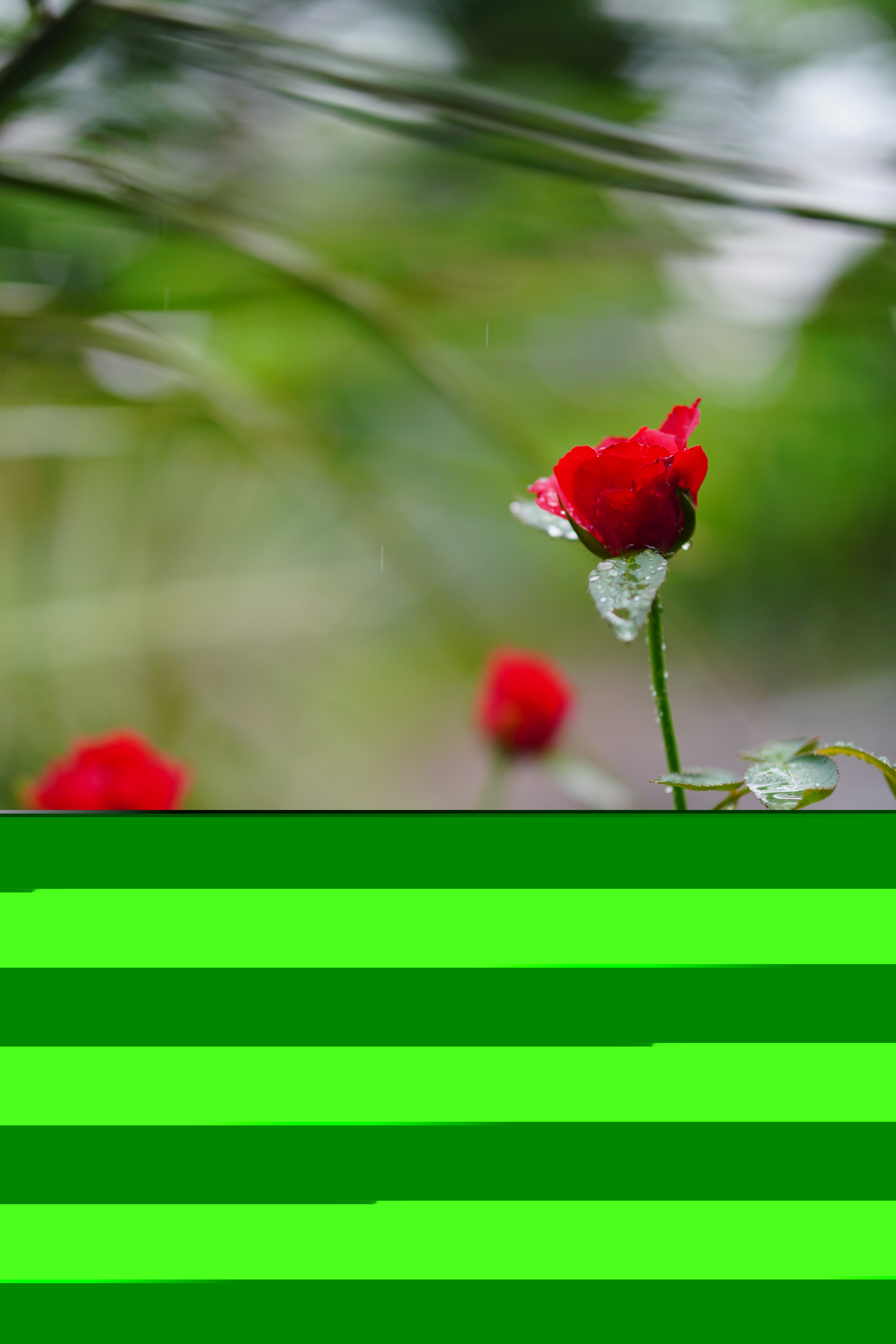 DSC03152.jpg
