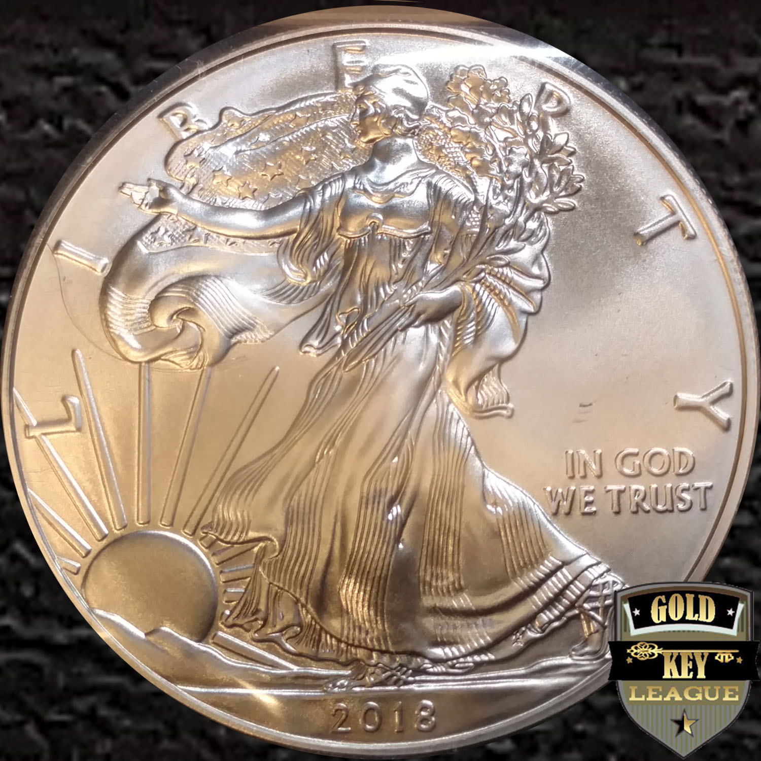 GK_PC_US_2018SilverEagle_SILVERCOIN_APX_VER01_04.jpg