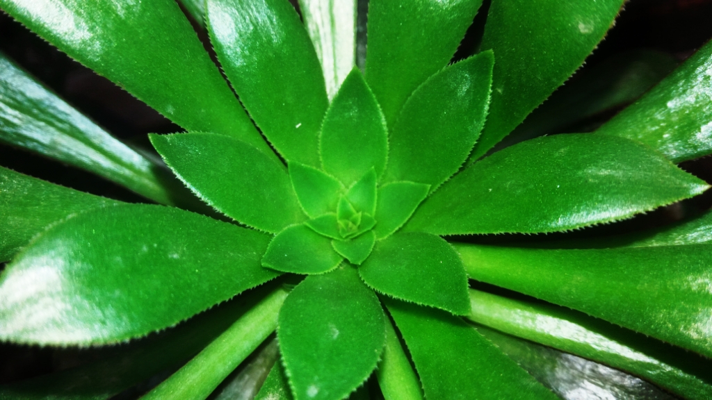 CYMERA_20201120_124833.jpg