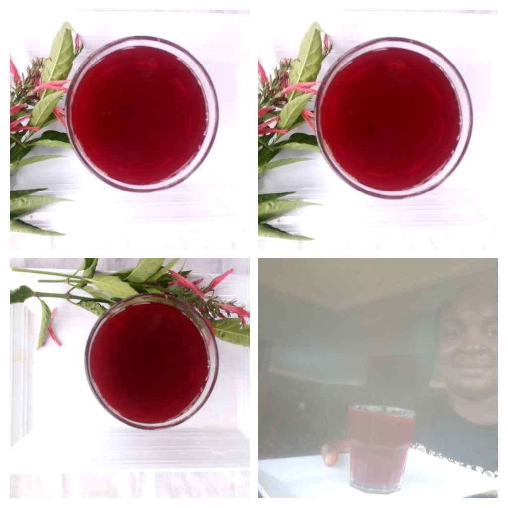 https://images.hive.blog/DQmdY17NEAQpF6MDr8Xw8dfa5LDF7tYPXQDjFg6DbTtT6Yi/IMG_20250807_134617-COLLAGE.jpg