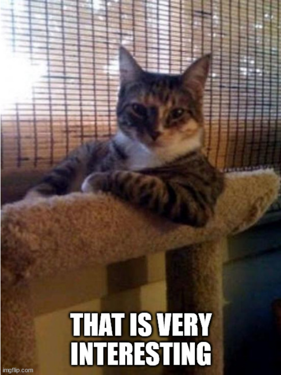 Screenshot 2022-02-03 at 17-14-31 The Most Interesting Cat In The World Meme Generator - Imgflip.png