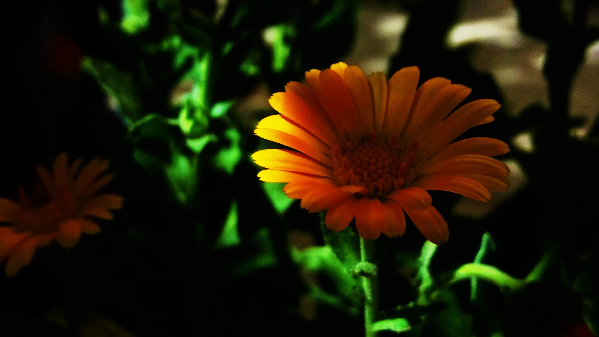 CYMERA_20200519_101930.jpg