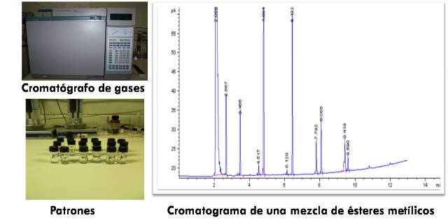 cromatografía 2.jpg
