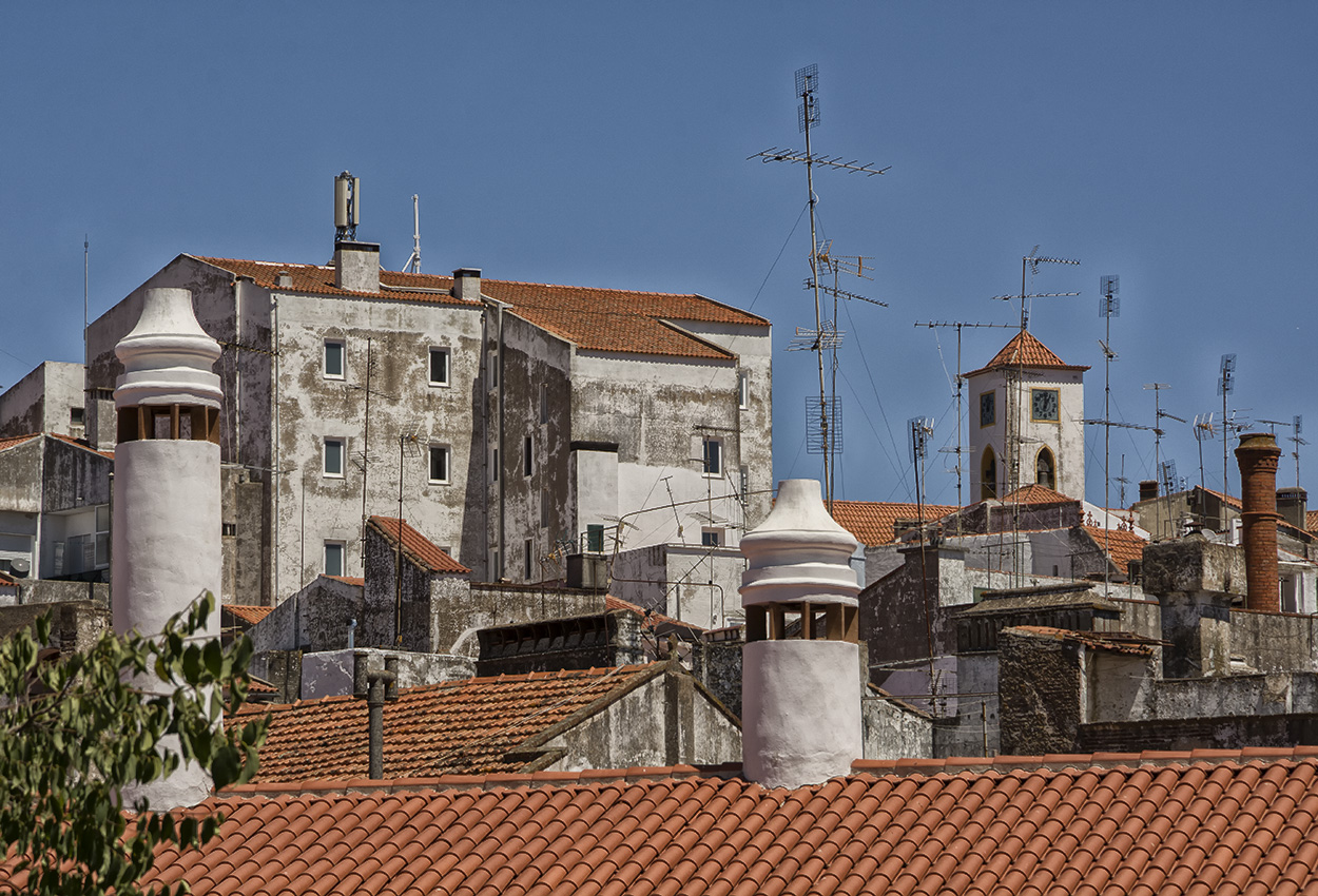 DSC_4576.jpg