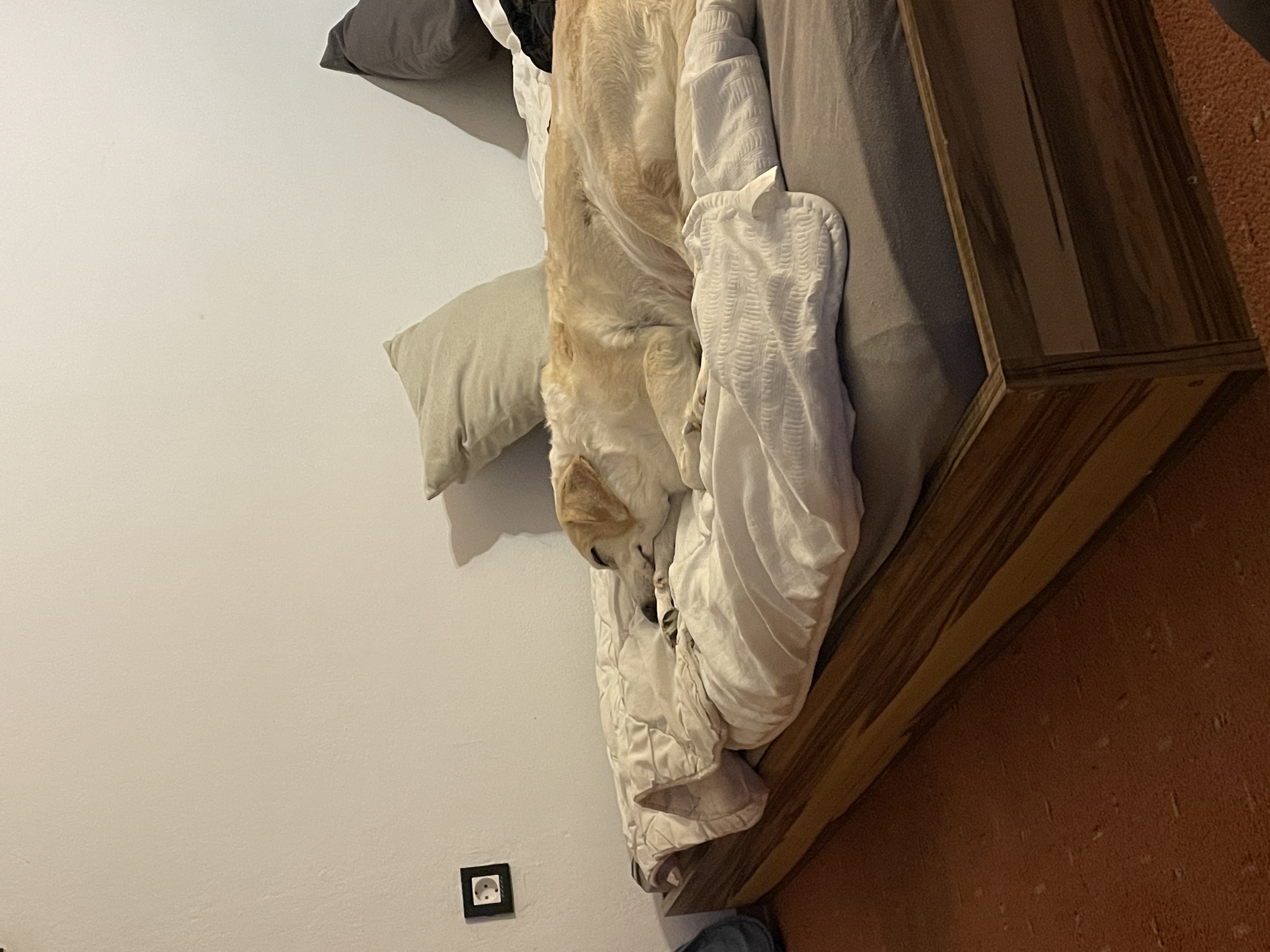DE3CA578-76D6-4B9C-A58C-309185104F51.jpeg