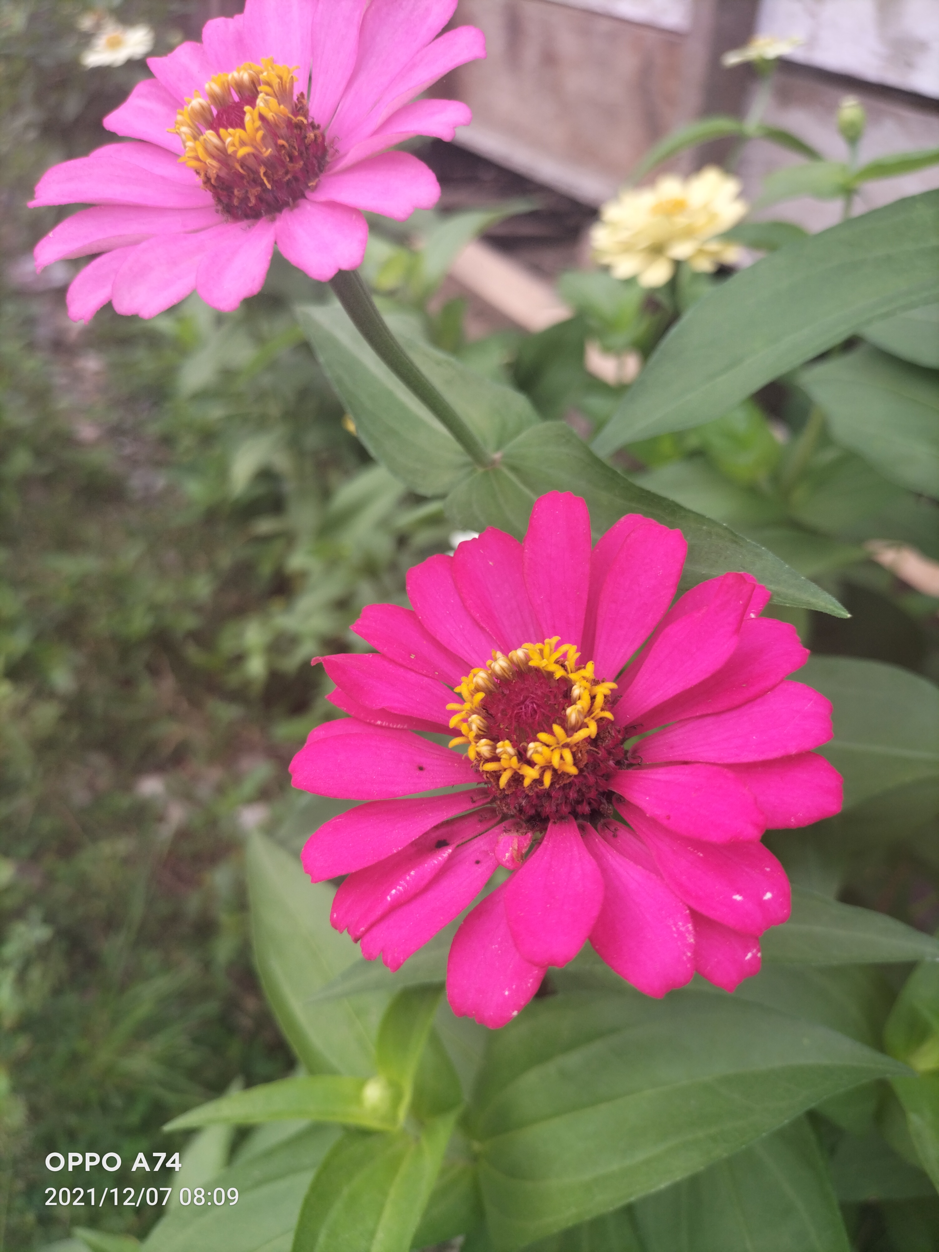 IMG20211207080905.jpg