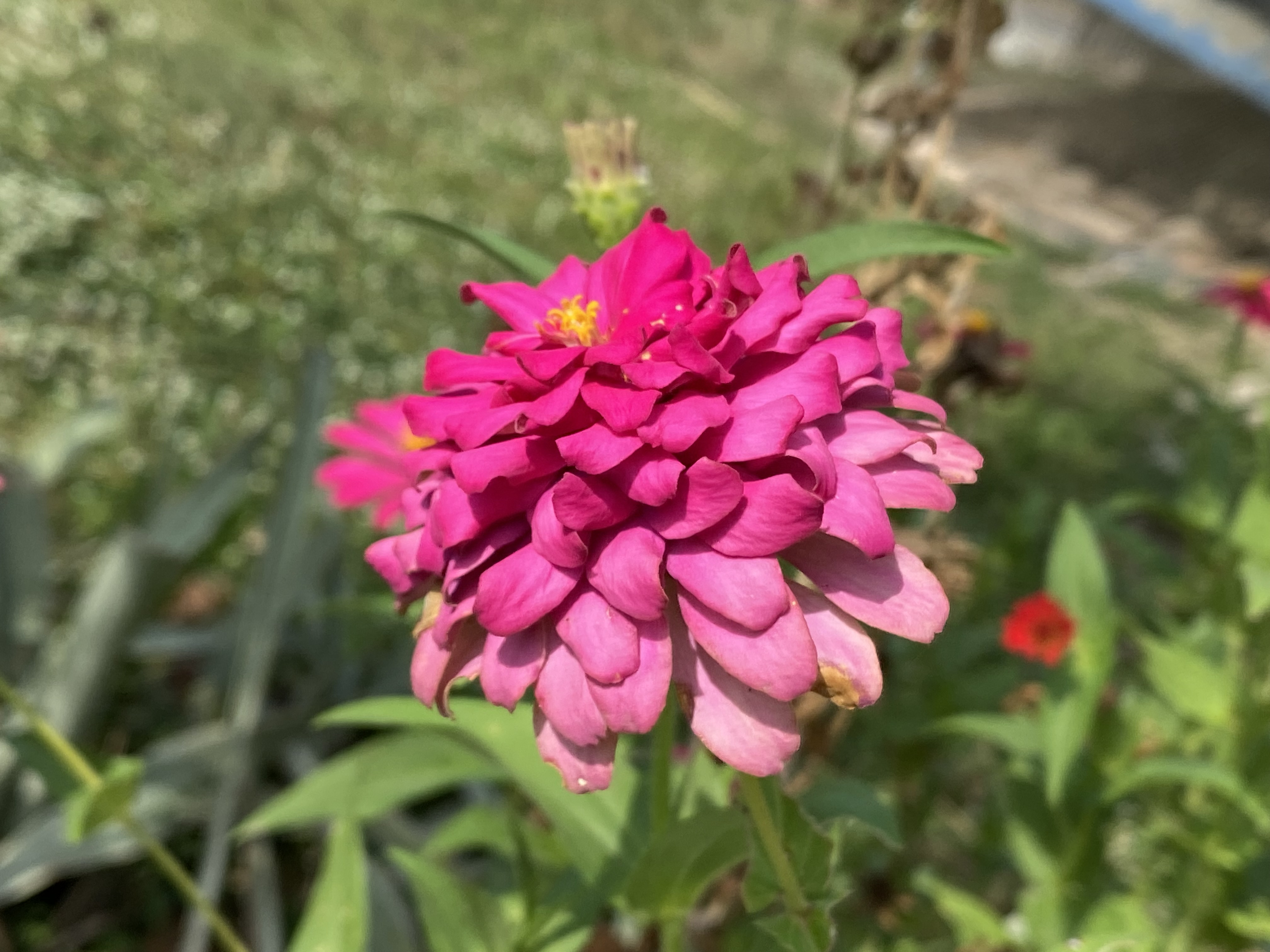 IMG_3585.jpeg