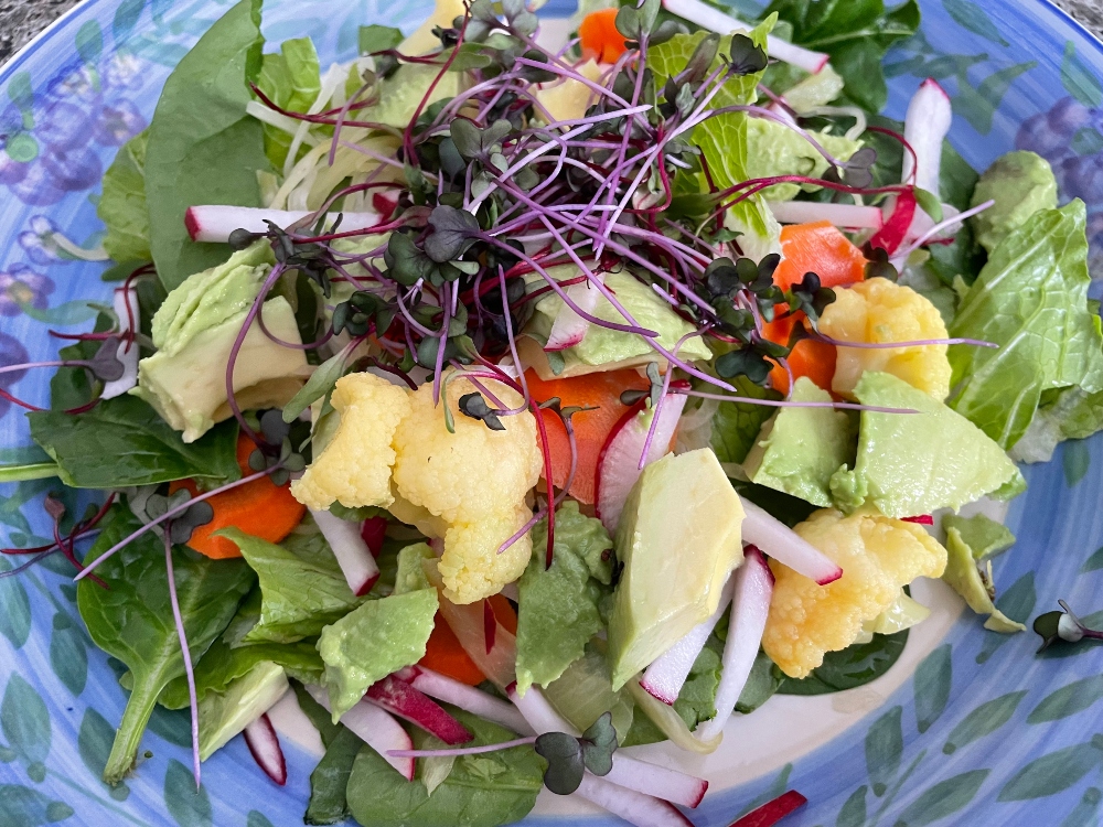 microgreens-lunch.jpg