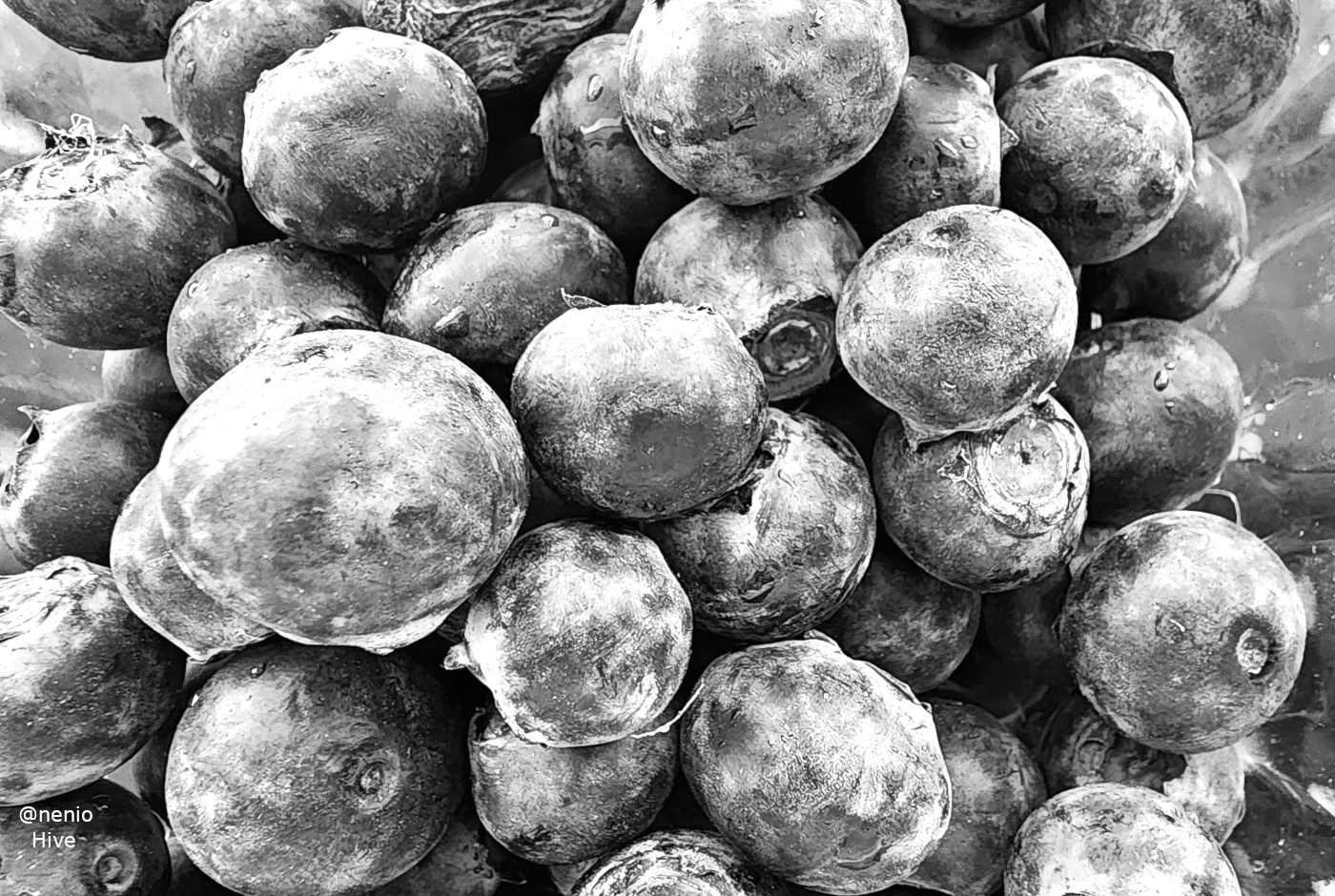blueberries-001-bw.jpg