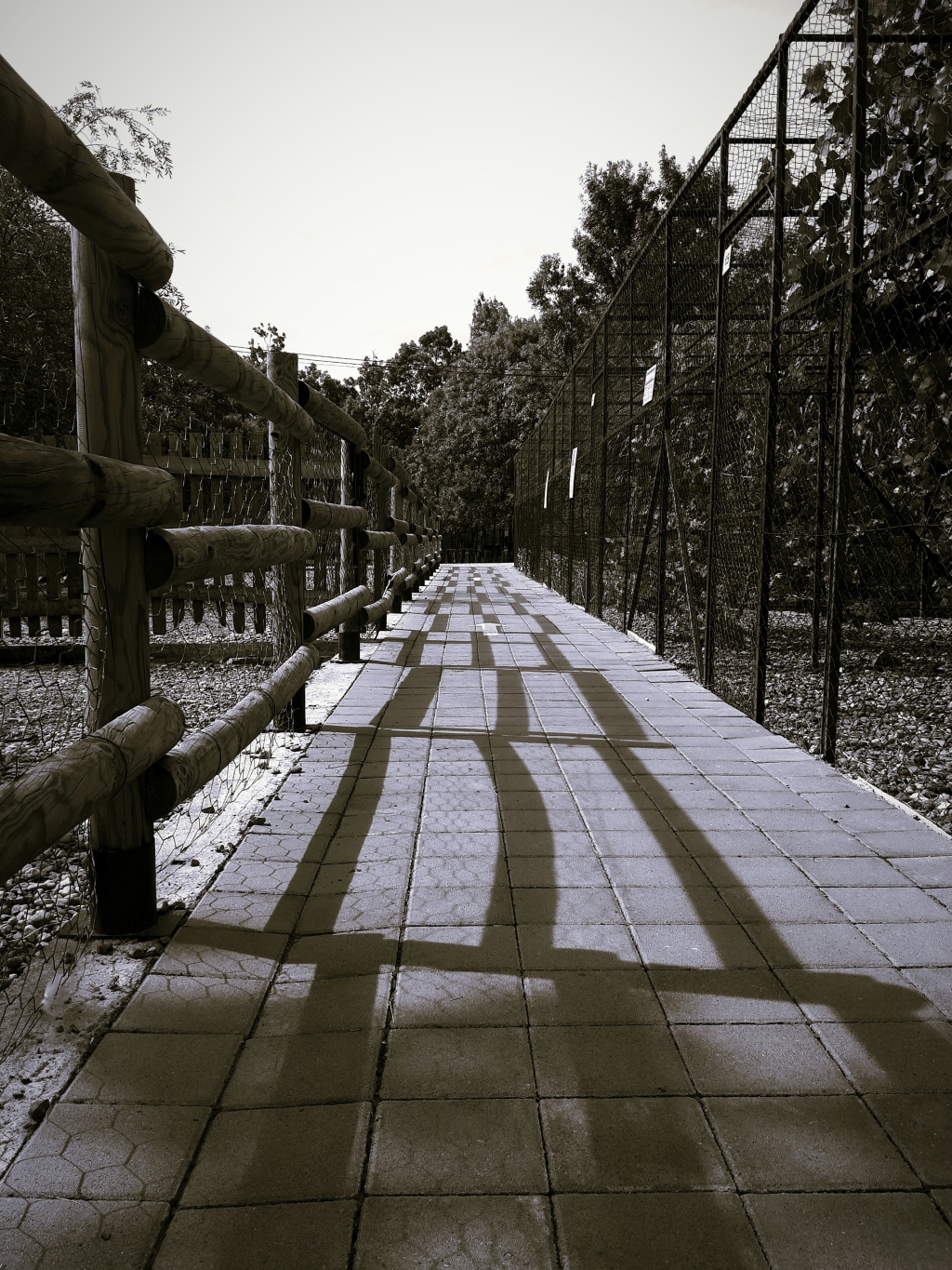 20250716_145222.jpg
