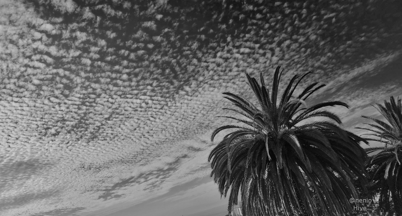 Cirrocumulus clouds in color and b&w — Nubes cirrocúmulos en color y ...