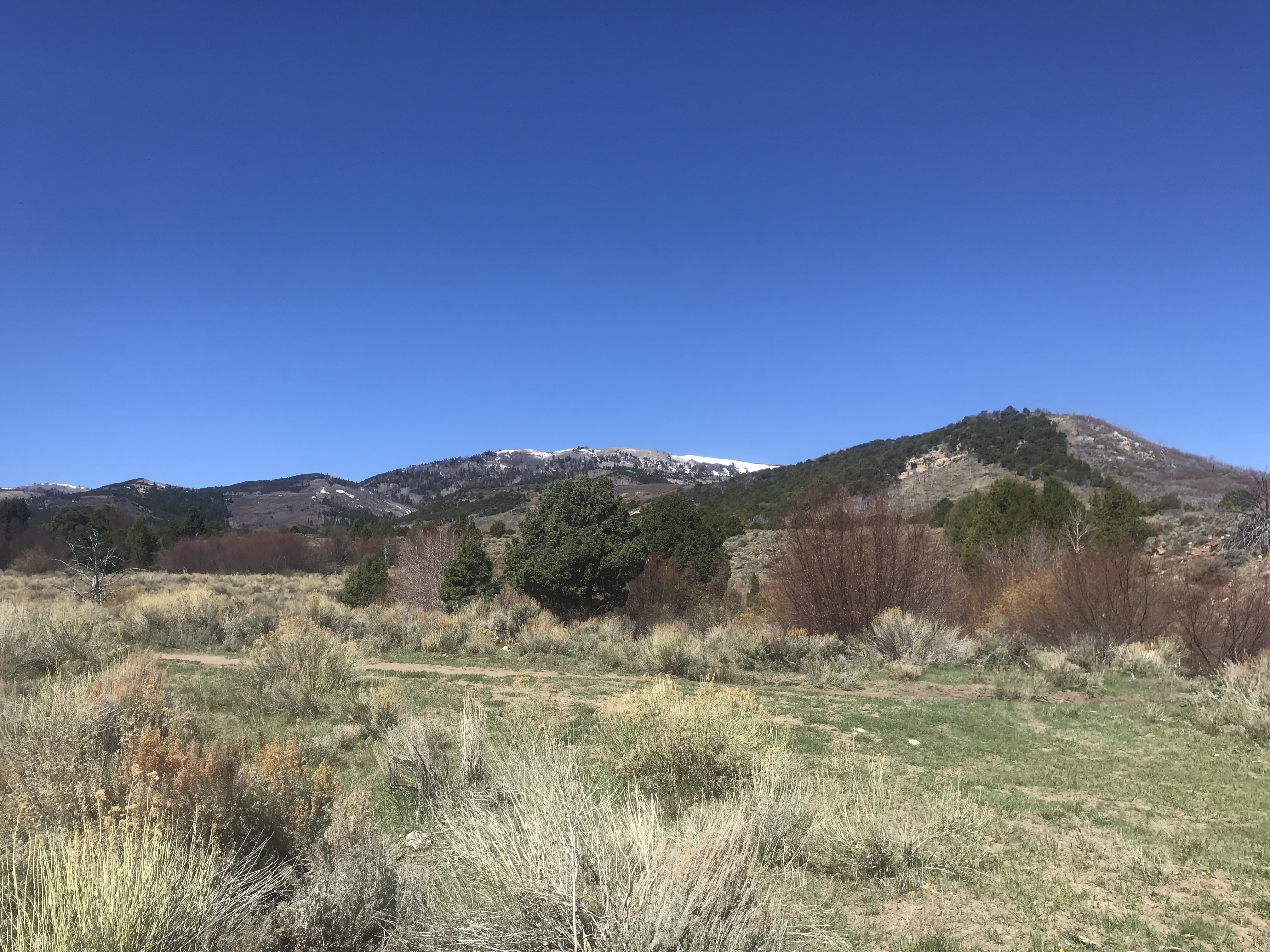 DBA96596-1EA2-499F-B960-B4E6889AC5D8.jpeg