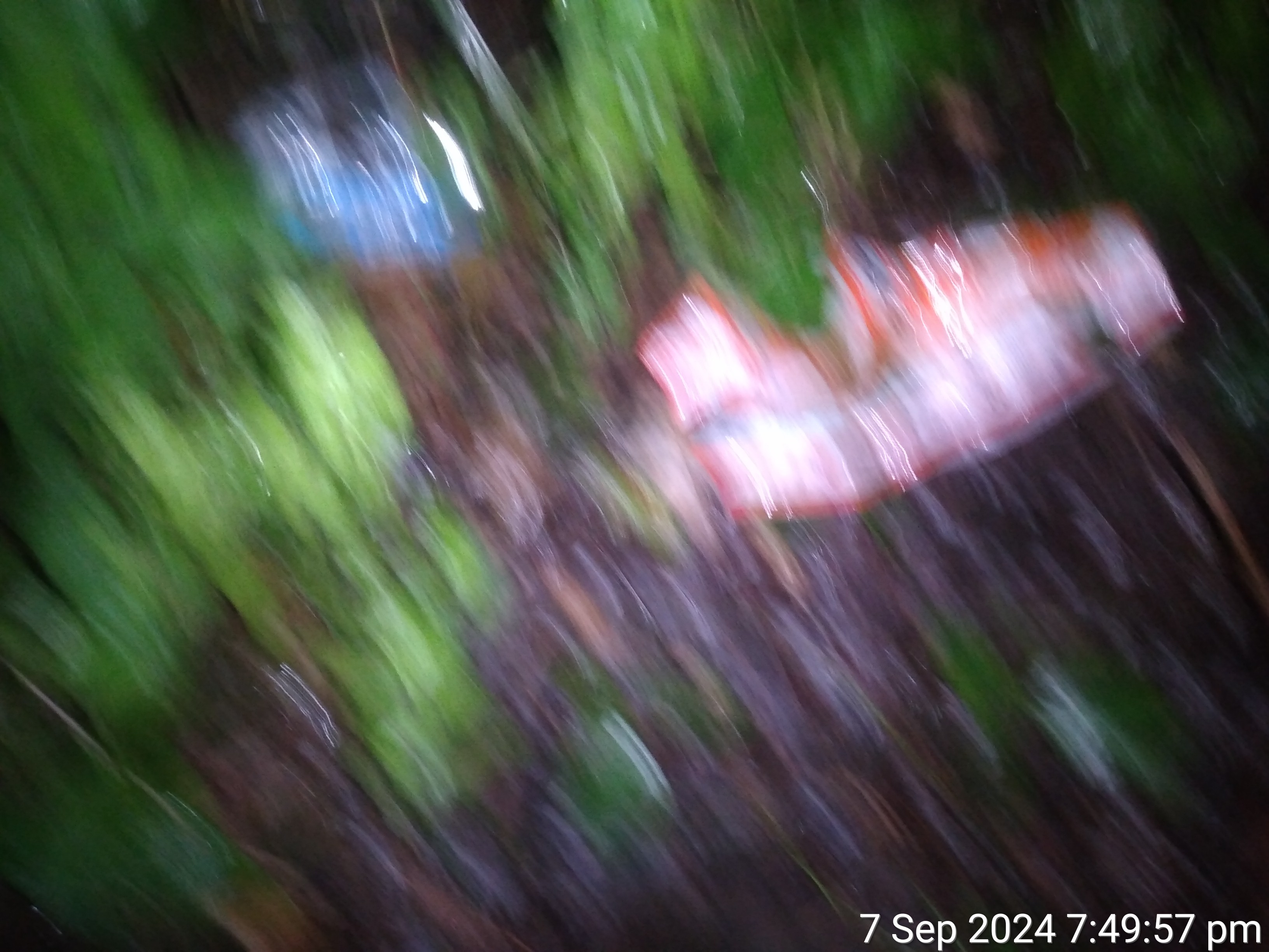 "TimePhoto_20240907_194958.jpg"