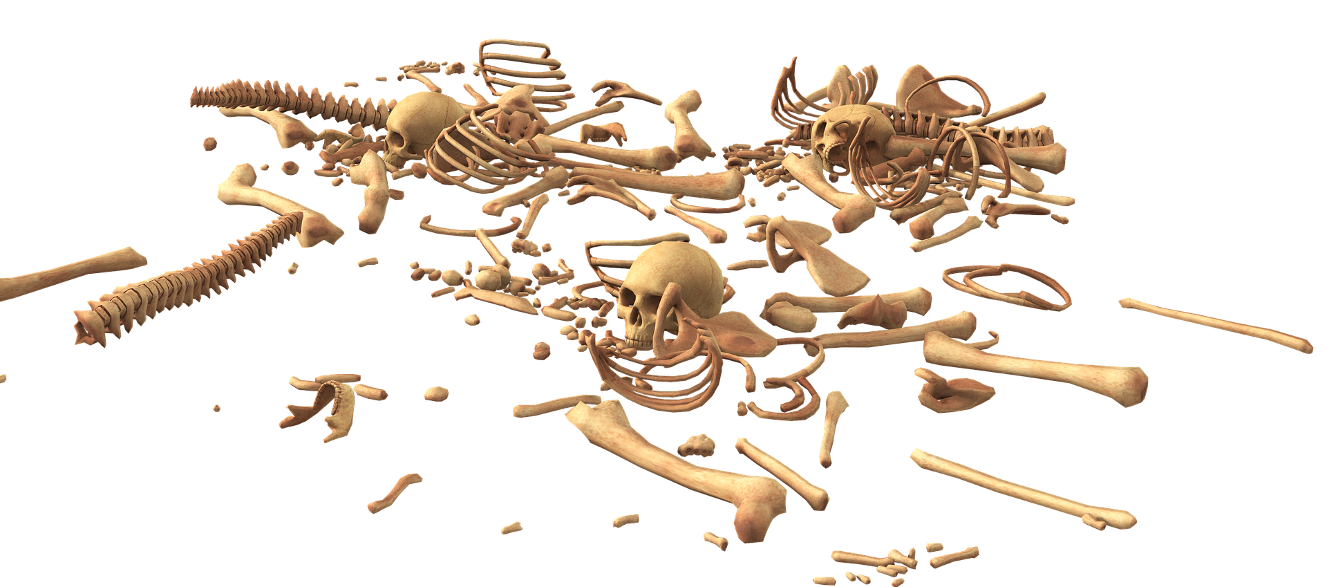 skull-3378748_1920.png