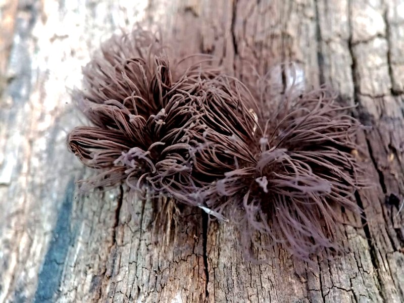 WhatsApp Image 2022-01-19 at 12.19.45 (3).jpg