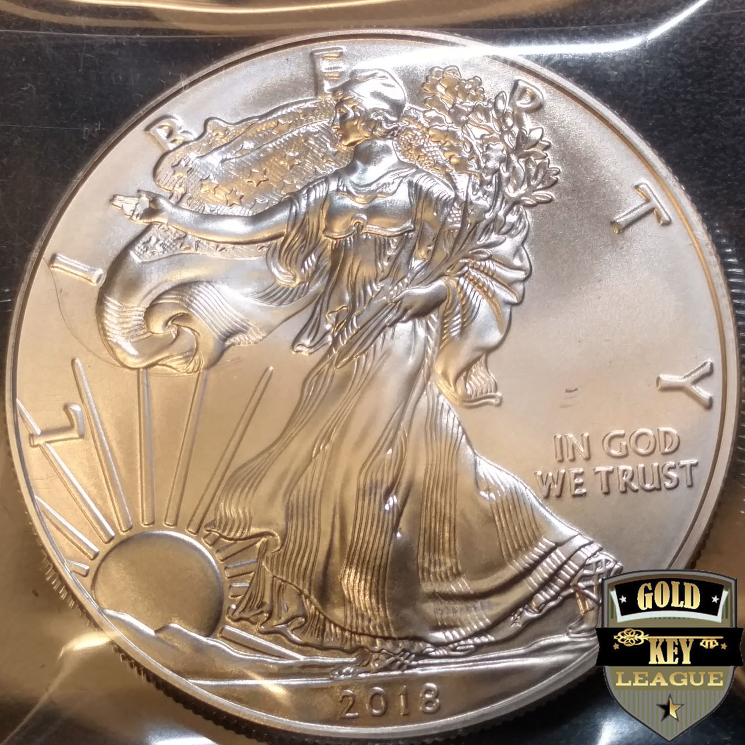 GK_PC_US_2018SilverEagle_SILVERCOIN_APX_VER01_02.jpg