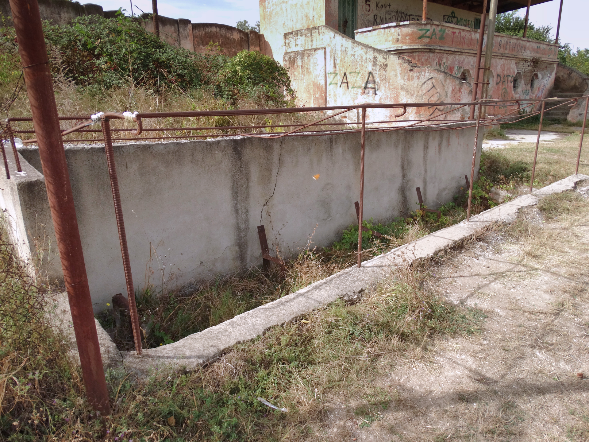 DSC03035.png