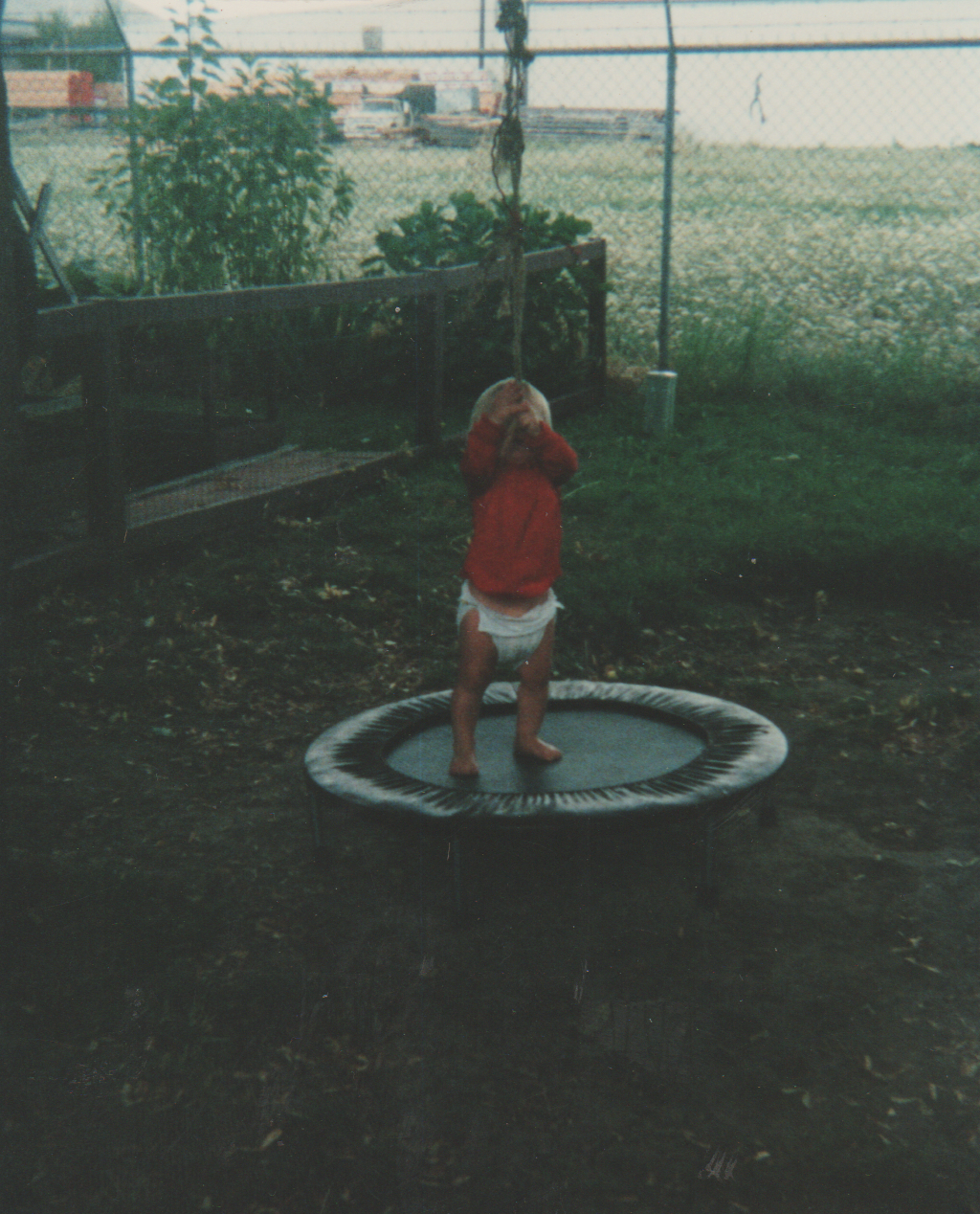1991-09 - Crystal in the back of the 163 front yard on a trampoline holding onto a rope by the oak tree.png