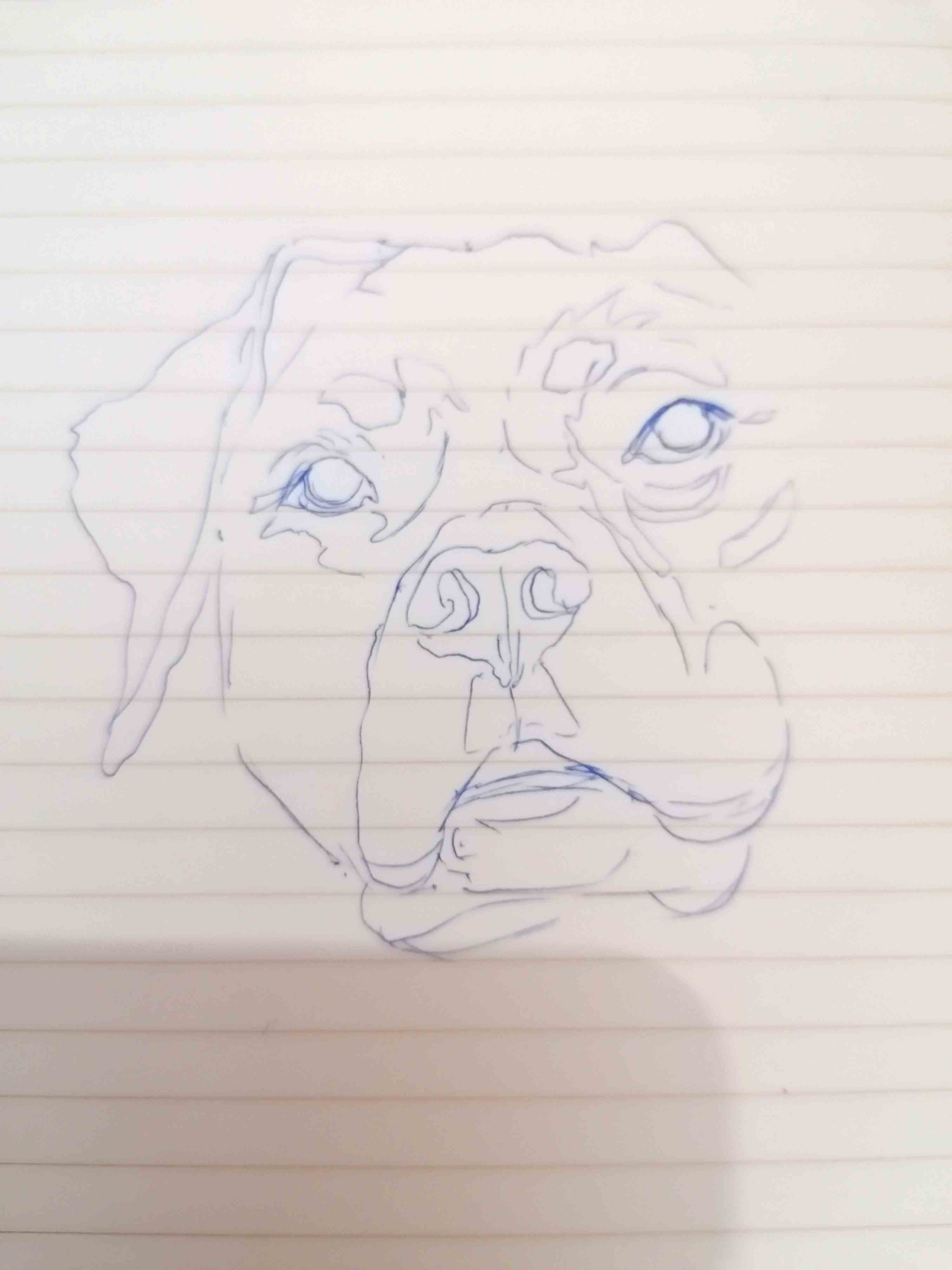 87650823627844961.jpg